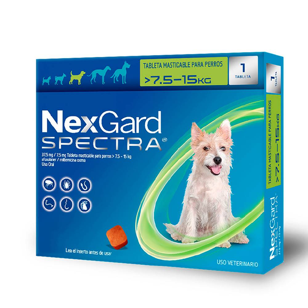 Nexgard desparasitante masticable spectra para perro