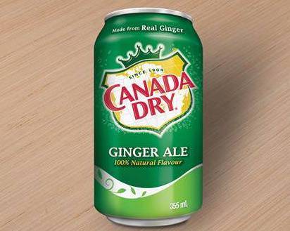 Canned Pop - Ginger Ale