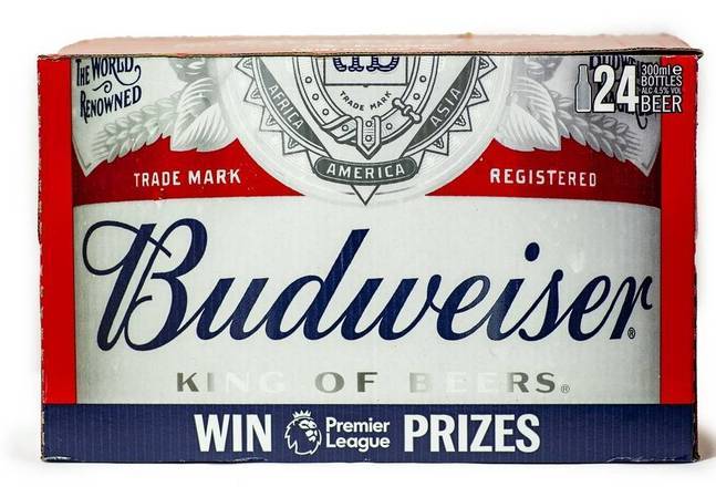 Budweiser (300mlx24)