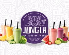 Jungla (Batidos de Fruta)