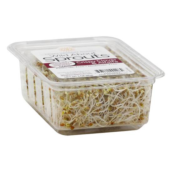 Order Wild About Sprouts · Crispy Clover & Alfalfa Sprouts (3 oz) food online from Safeway store, Eureka on bringmethat.com
