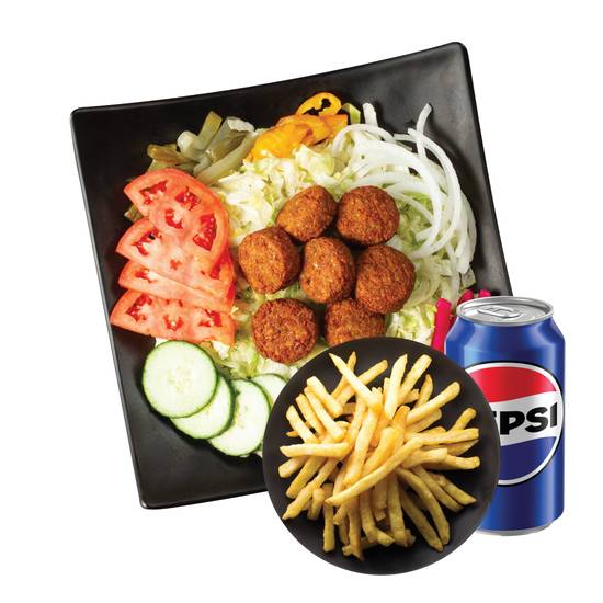 Falafel Salad Bowl Combo