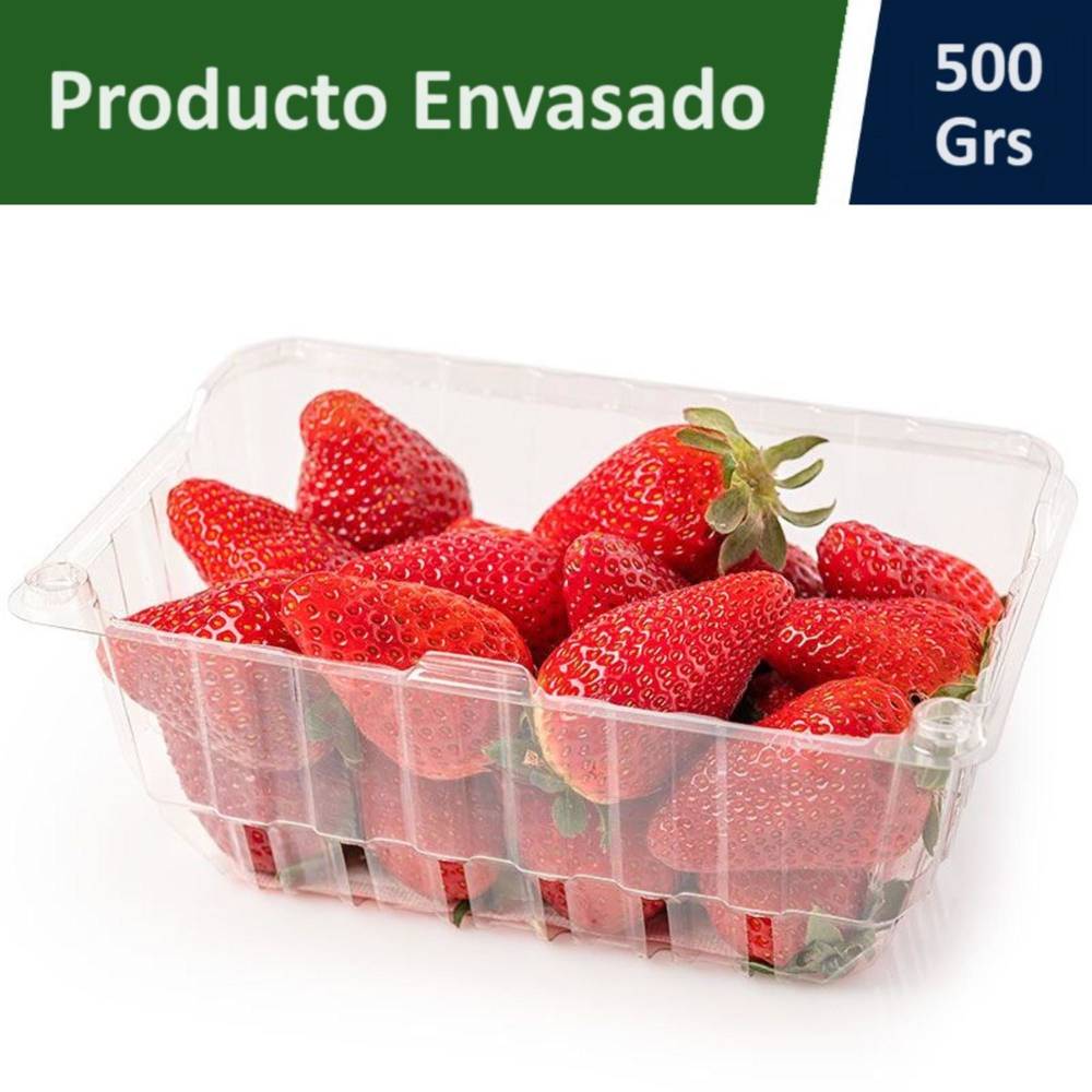 Frutillas (500 g)