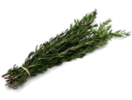 Rosemary