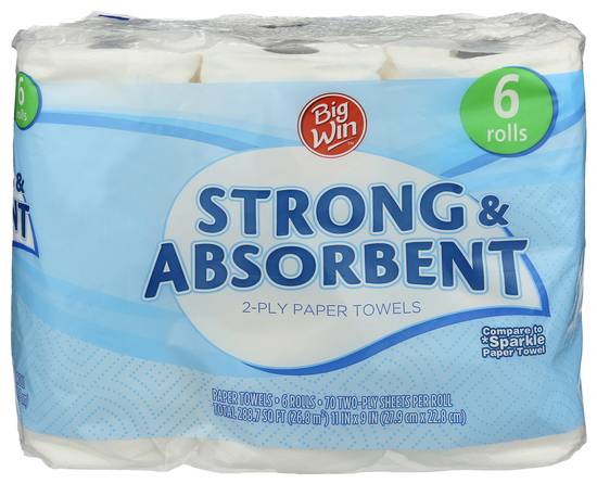 Big Win Strong & Absorbent 2 ply Paper Towels - 6 pack