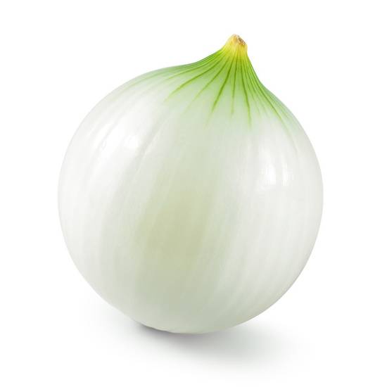 Jumbo White Onion (1 onion)