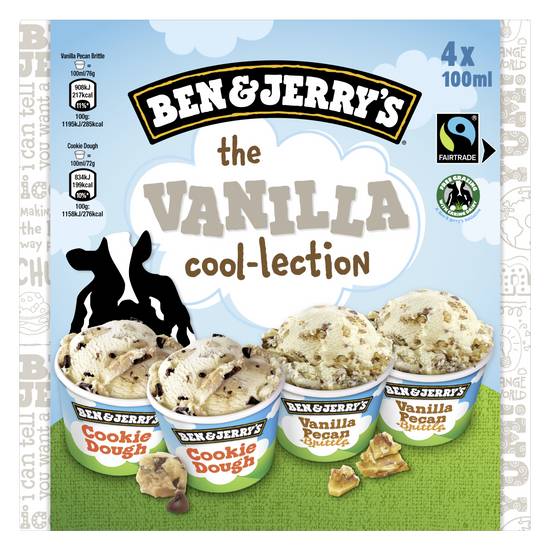 Ben & Jerry's - Crème glacée vanille avec des éclats de caramel aux noix de pécan (4 pièces, 100 ml)