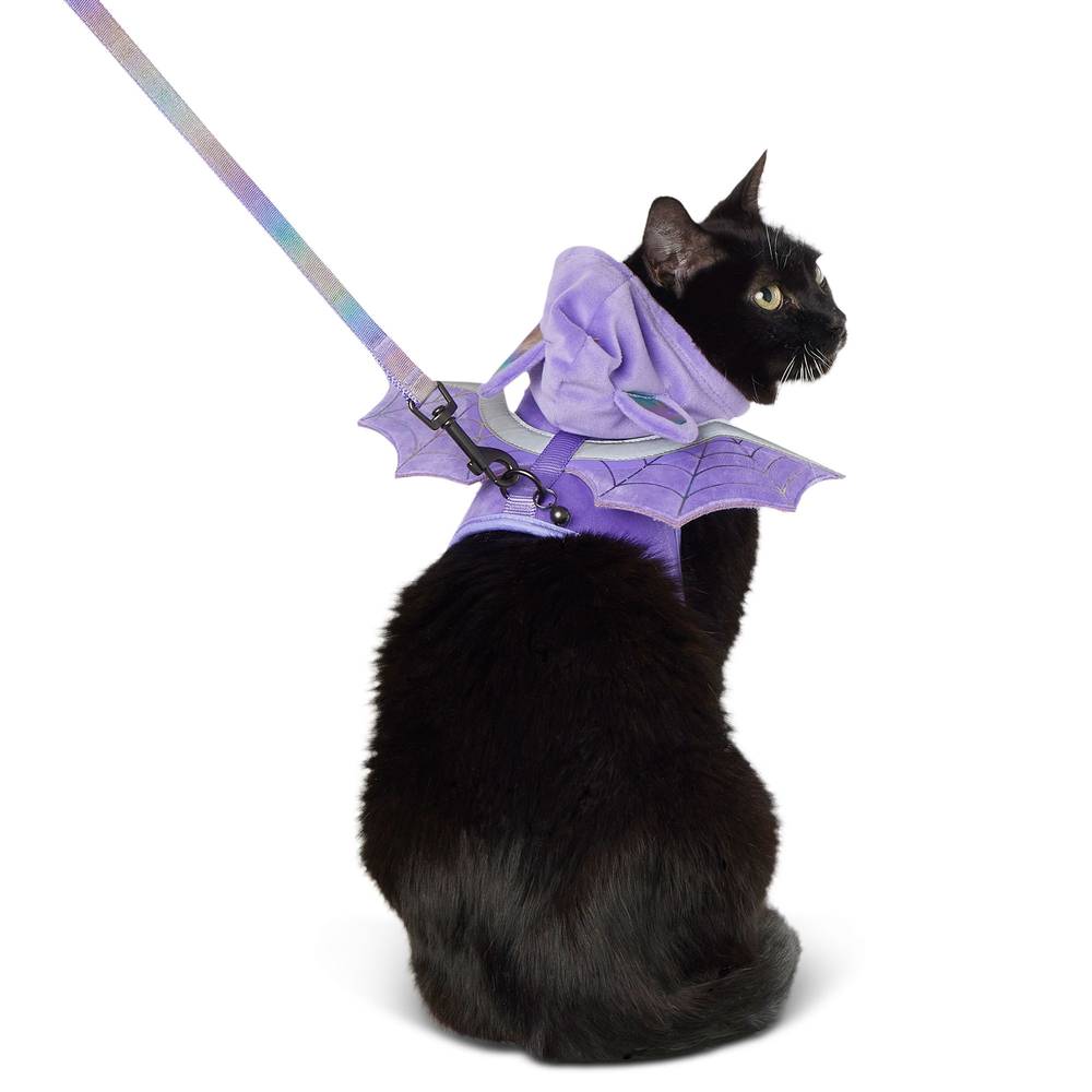 Thrills & Chills Bat Kitten Harness & Leash Combo Set (purple)