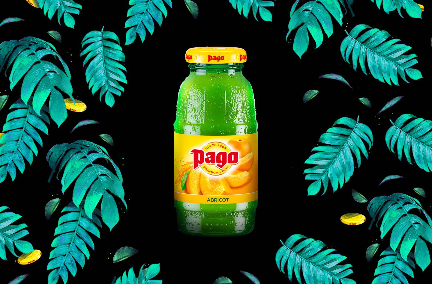 Pago Abricot