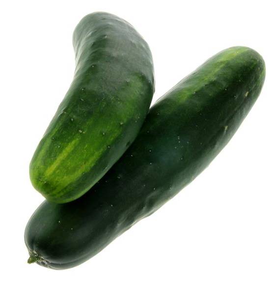 Organic Cucumber
