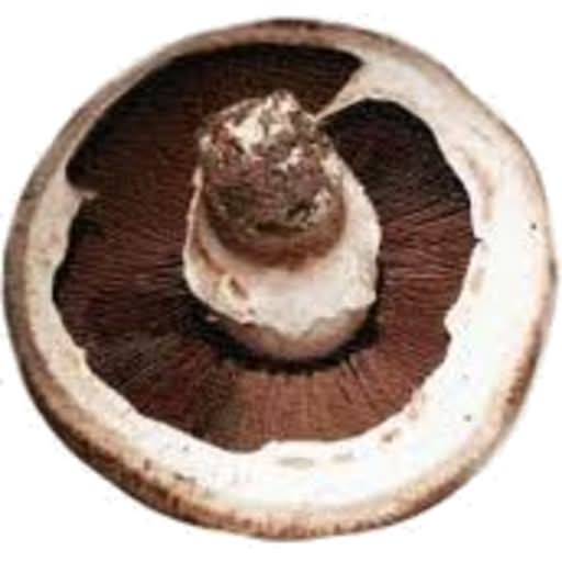 Mushrooms Field  Approx. 200g Each