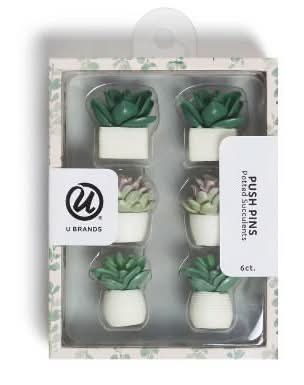 Les Produits U Brands Potted Succulent Push Pins (6 ct)