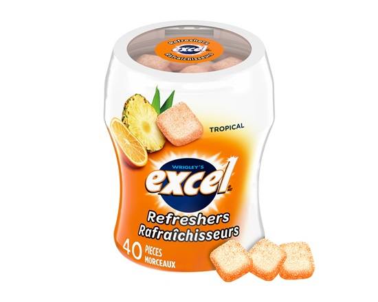 Excel Refreshers Tropical