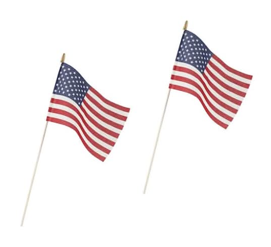 Valley Forge U.s. American Stick Flags, 8 In X 12 In, Red - White - Blue (2 ct)