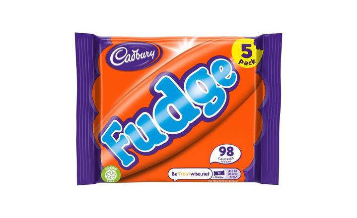 Cadbury Fudge Bar 5 Pack 110g (404096)