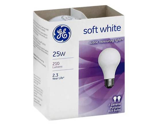 GE · Soft White 21W 210 Lumens A19 Light Bulbs (2 bulbs)