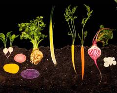 [TEST] D2 Merchant Sydney no ABN - No Cars 