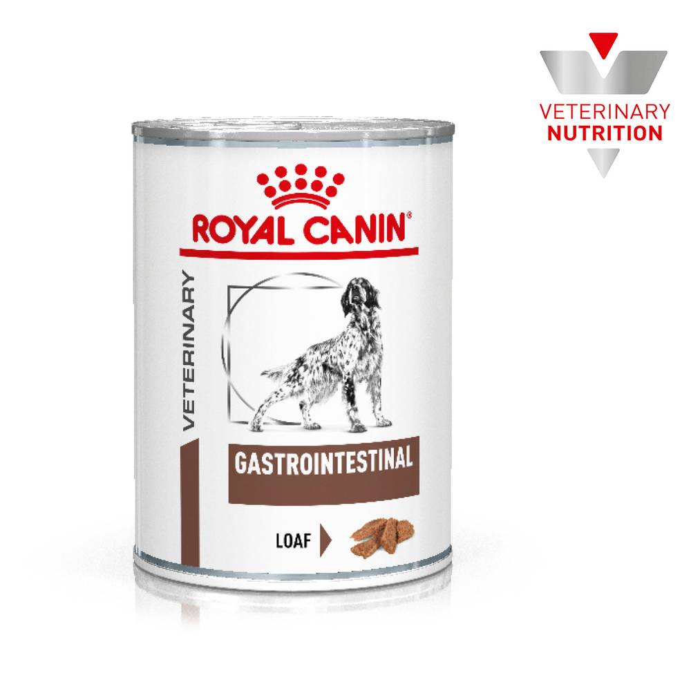 Royal canin alimento gastro intestinal