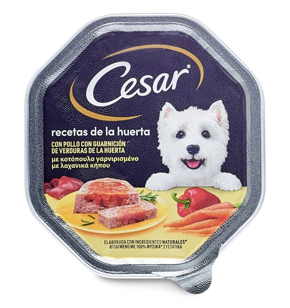 Alimento Para Perros Selección De La Huerta Con Pollo Cesar Tarrina 150 G