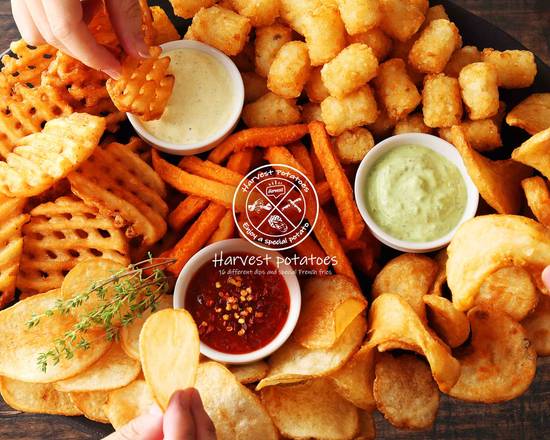 アメリカ直輸入 ポテトチップス 人気フレーバー食べ比べ3種セット アメリカ直輸入 ポテトチップス 人気フレーバー食べ比べ3種