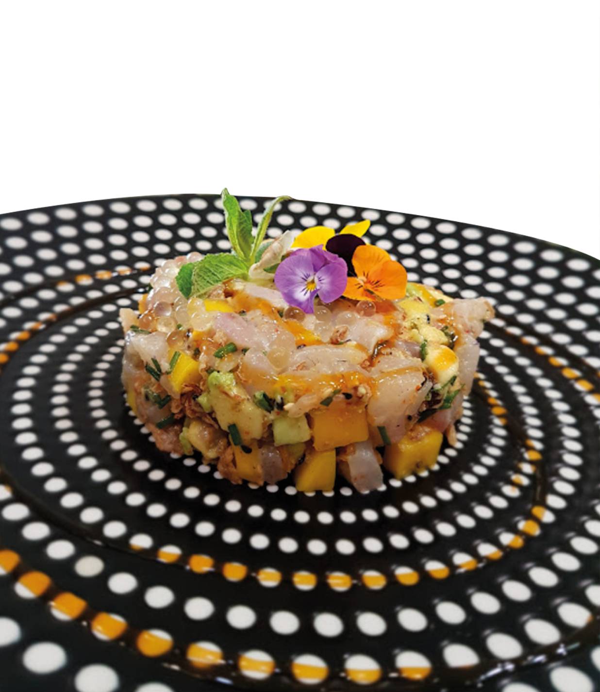 Tartare Saint-Jacques