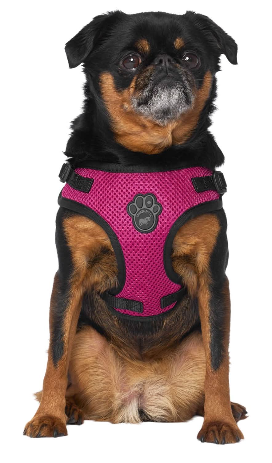 Canada Pooch Easy-On Step-In Plum Dog Harness, Large