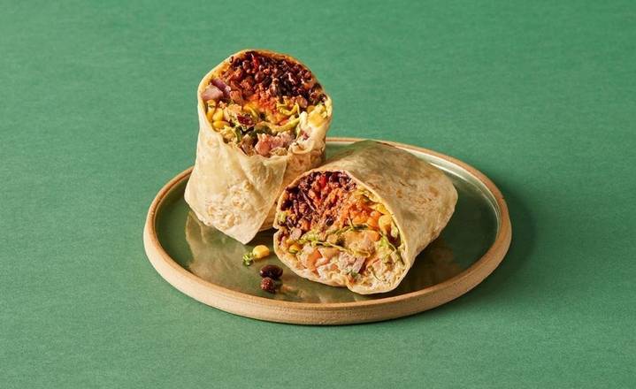 Zam's Signature Vegetarian Burrito