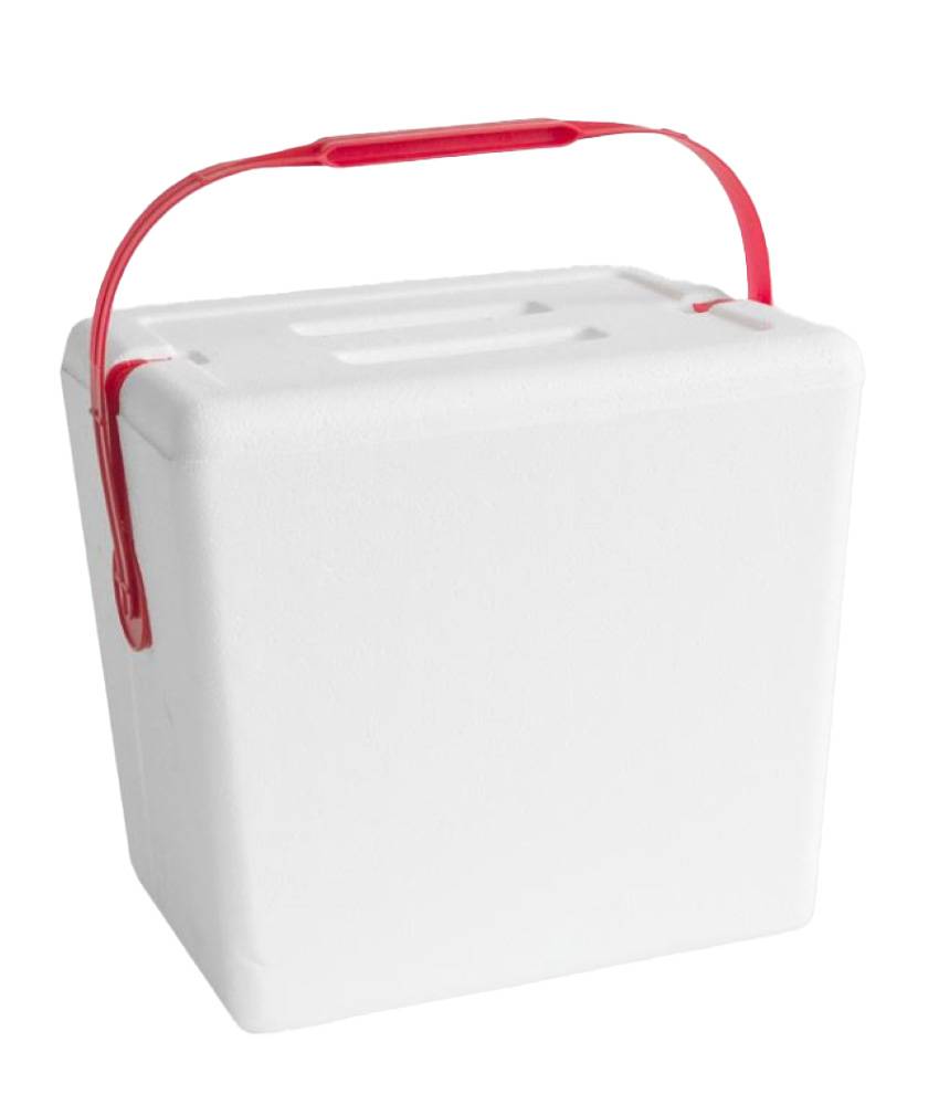 Lifoam Premium Foam Cooler Plain