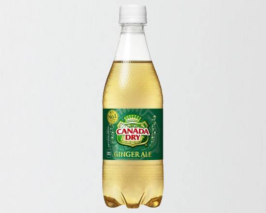 ジンジャーエール（500ml）ペットボトル Ginger Ale 500ml PET Bottle 