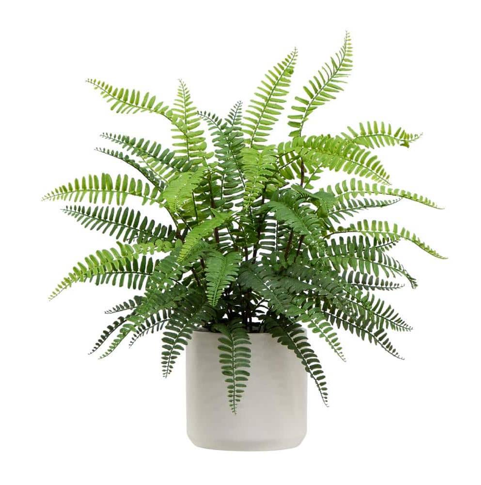 Nearly Natural 20 In. Boston Fern Artificial Plant