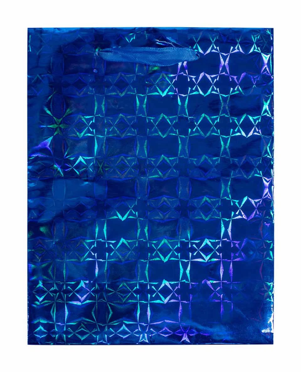 Medium Holographic Gift Bag 4 Assorted Colors