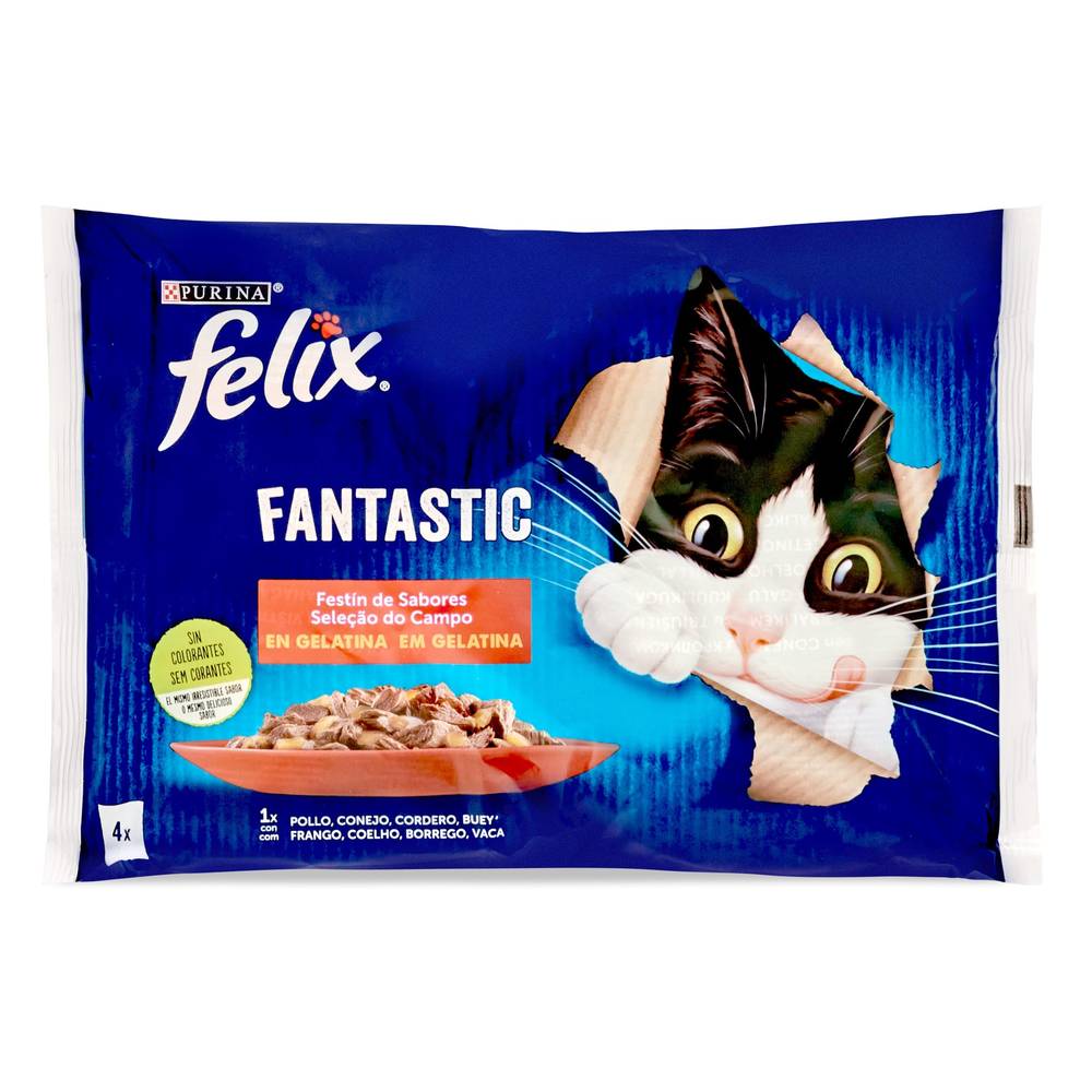 Alimento Para Gatos Fantastic Sabor Carne Felix Bolsa 4 X 85 G