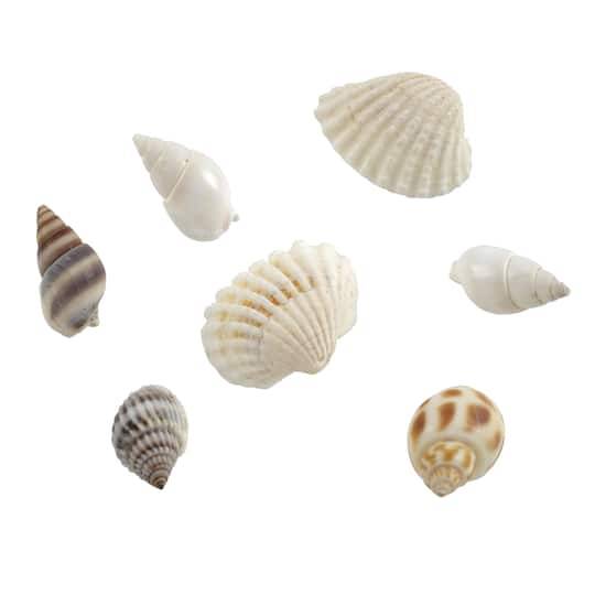 Shell Beads By Bead Landing