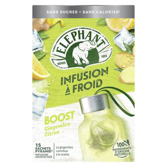 Elephant - Infuse à froid boost (15 pièces)