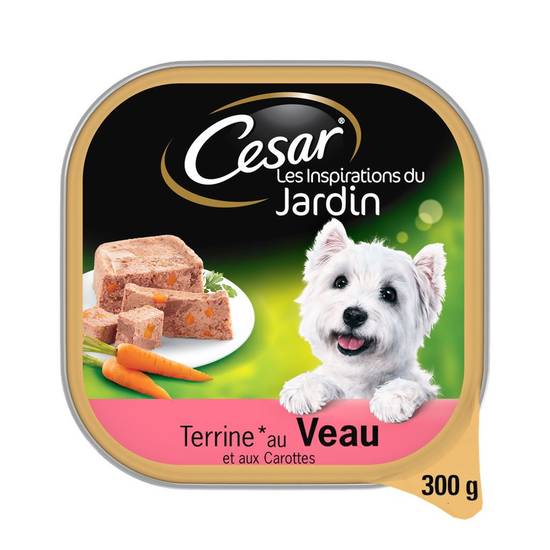 Pâtée pour chien au veau CESAR® 300g