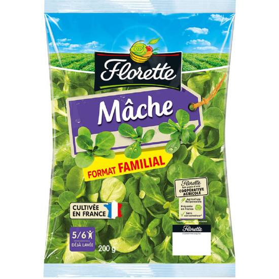 Salade Maxi mâche