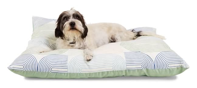 EveryYay Essentials Pillow Dog Bed, L, Retro Green