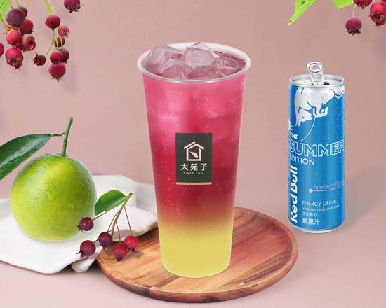 Red Bull能量小莓果-大杯 Red Bull Energy Drink Juneberry Mix-Large