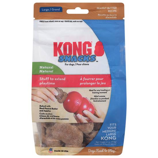 Kong Large Peanut Butter Recipe Dog Treat