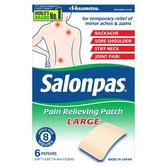 Salonpas Large Pain Relieving Patch (6 ct)