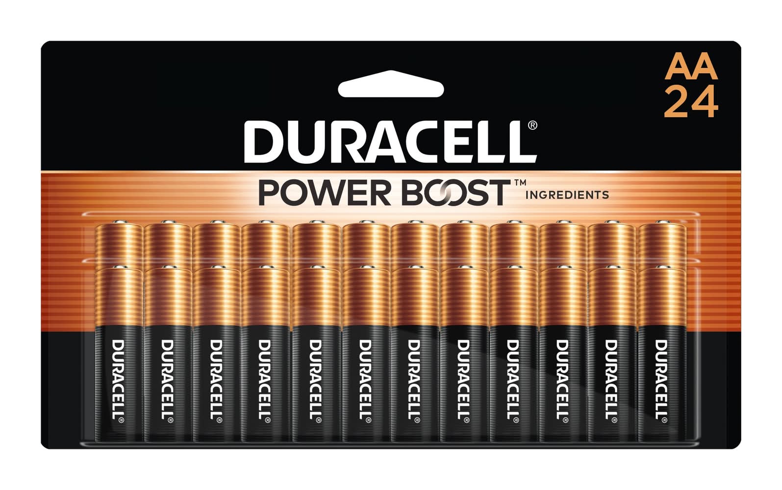 Duracell Coppertop Alkaline AA Batteries ( 24 -Pack)