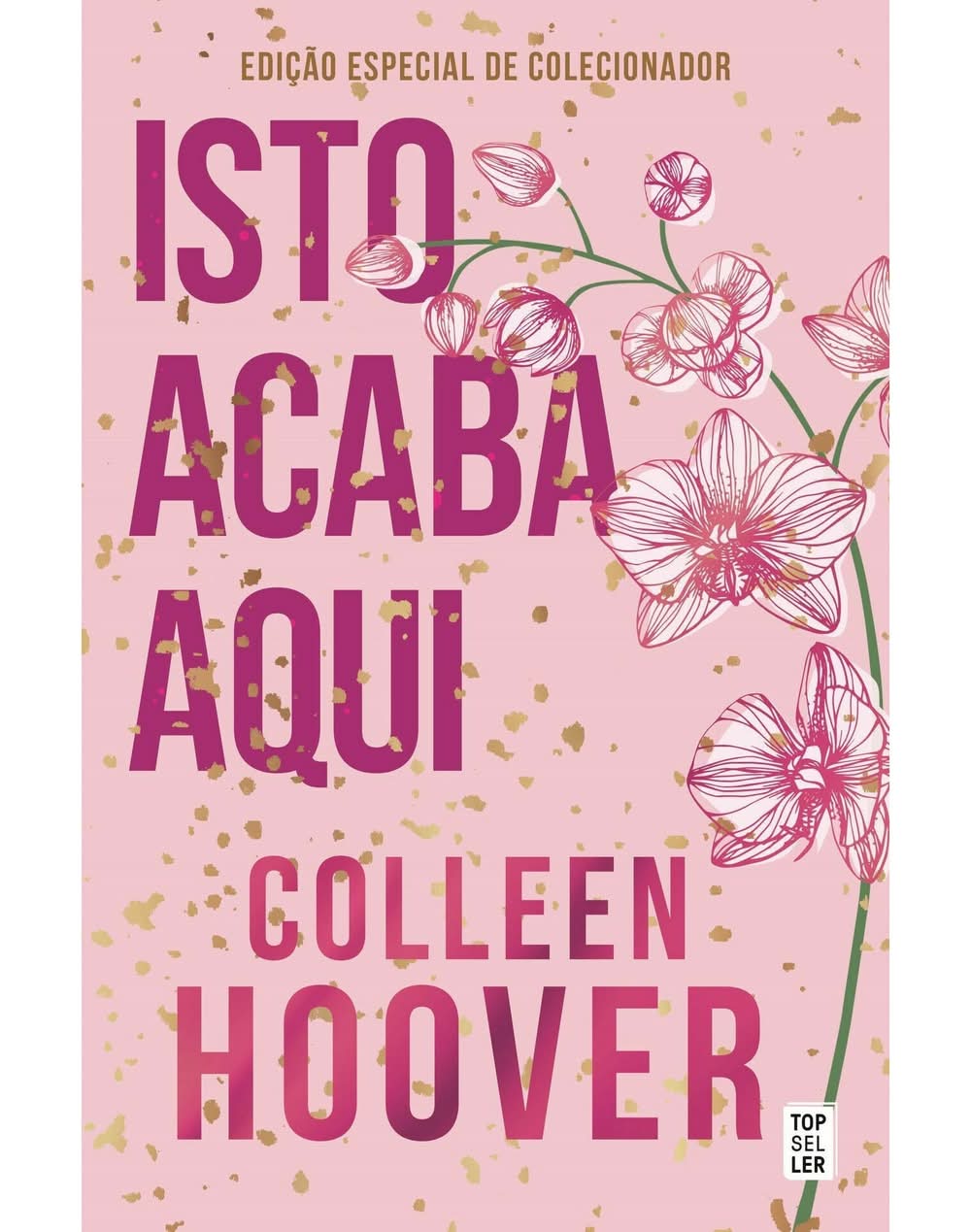 Isto Acaba Aqui: Edição de Colecionador de Colleen Hoover