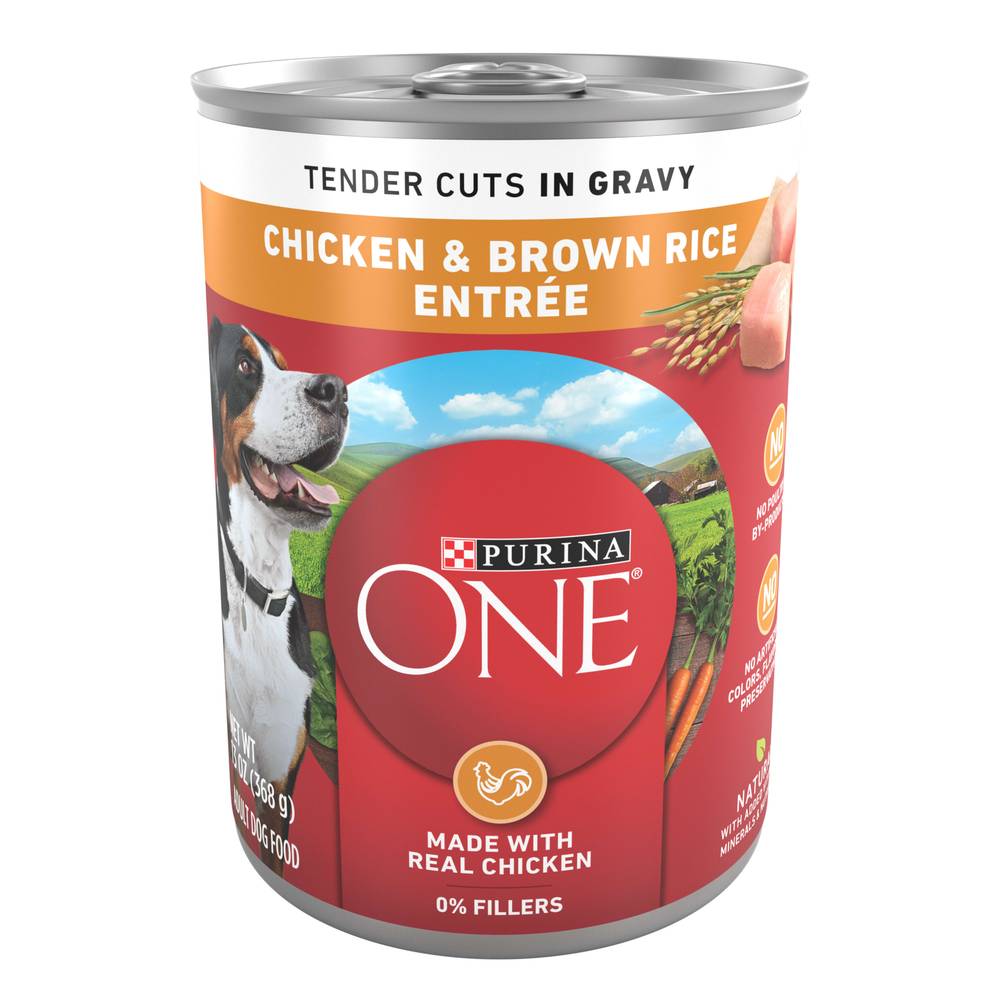 Purina ONE Tender Cuts Gravy Chicken Dog Food - Wet, 13 oz Can - Nutrient Dense Formula for Adult Dogs - Real Meat #1 Ingredient | 001780014315