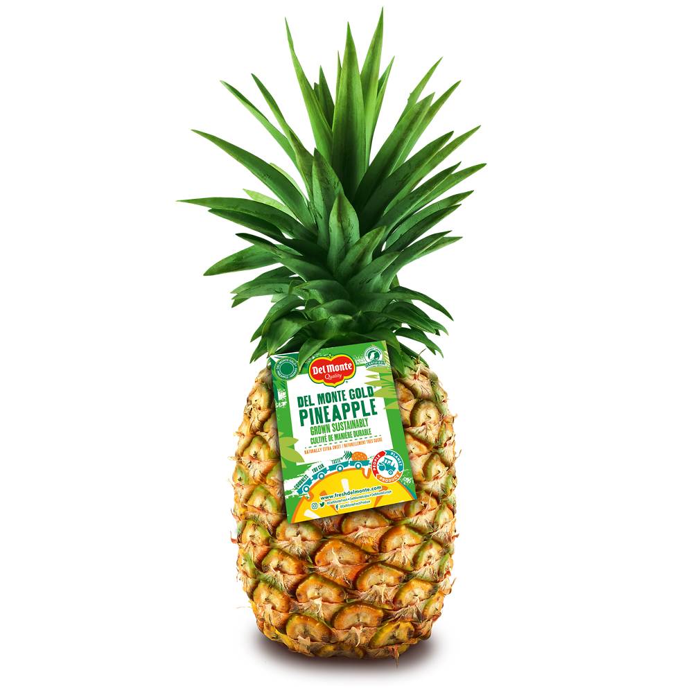 Sans Marque - Ananas sweet calibre