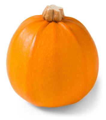 Wee Bee Little Miniature Pumpkins - Weight Between 0.5-1 Lb