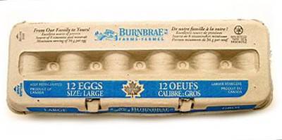 Burnbrae Farms White Large Eggs (800 g)