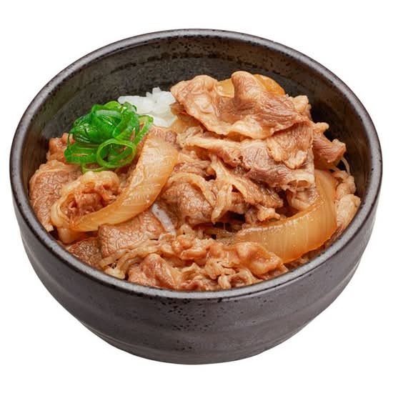 牛肉ごはん