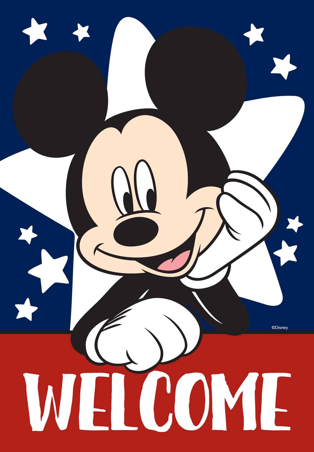 Disney 1.44-ft W x 2.91-ft H Patriotic Garden flag Kit | 10-1313-92-01
