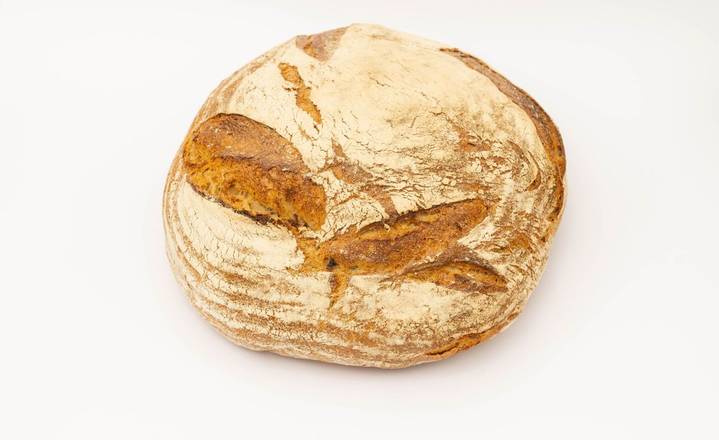 Wheat Bread 