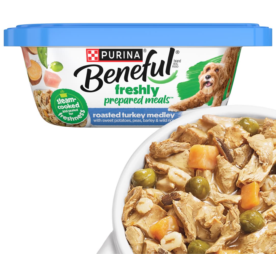Purina Beneful Freshly Roasted Turkey Medley Prepared Meals Wet Dog Food (10 oz)
